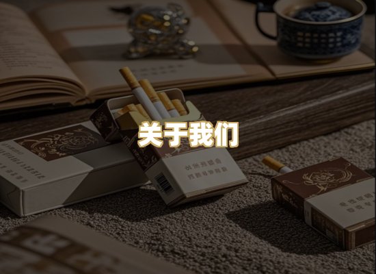 关于我们